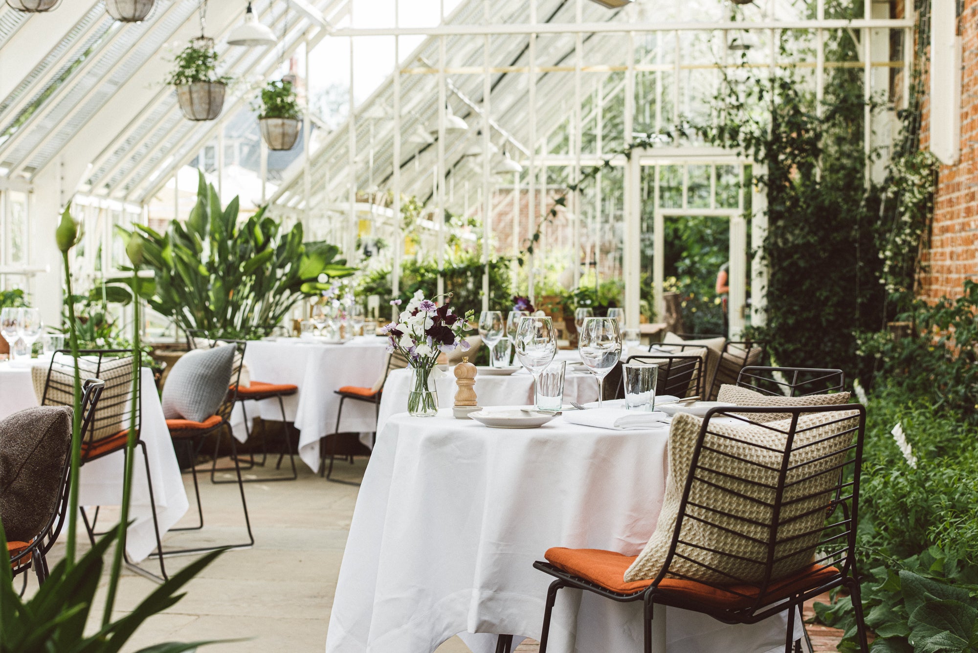 Gin lovers can craft botanical cocktails