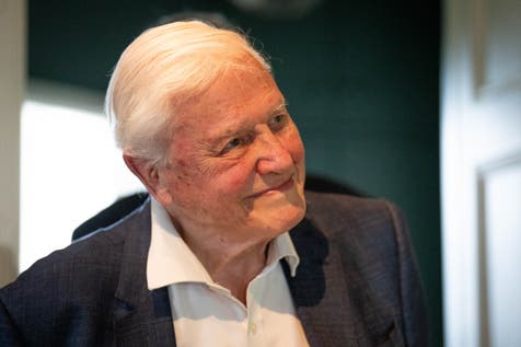 <p>Sir David Attenborough (James Manning/PA)</p>
