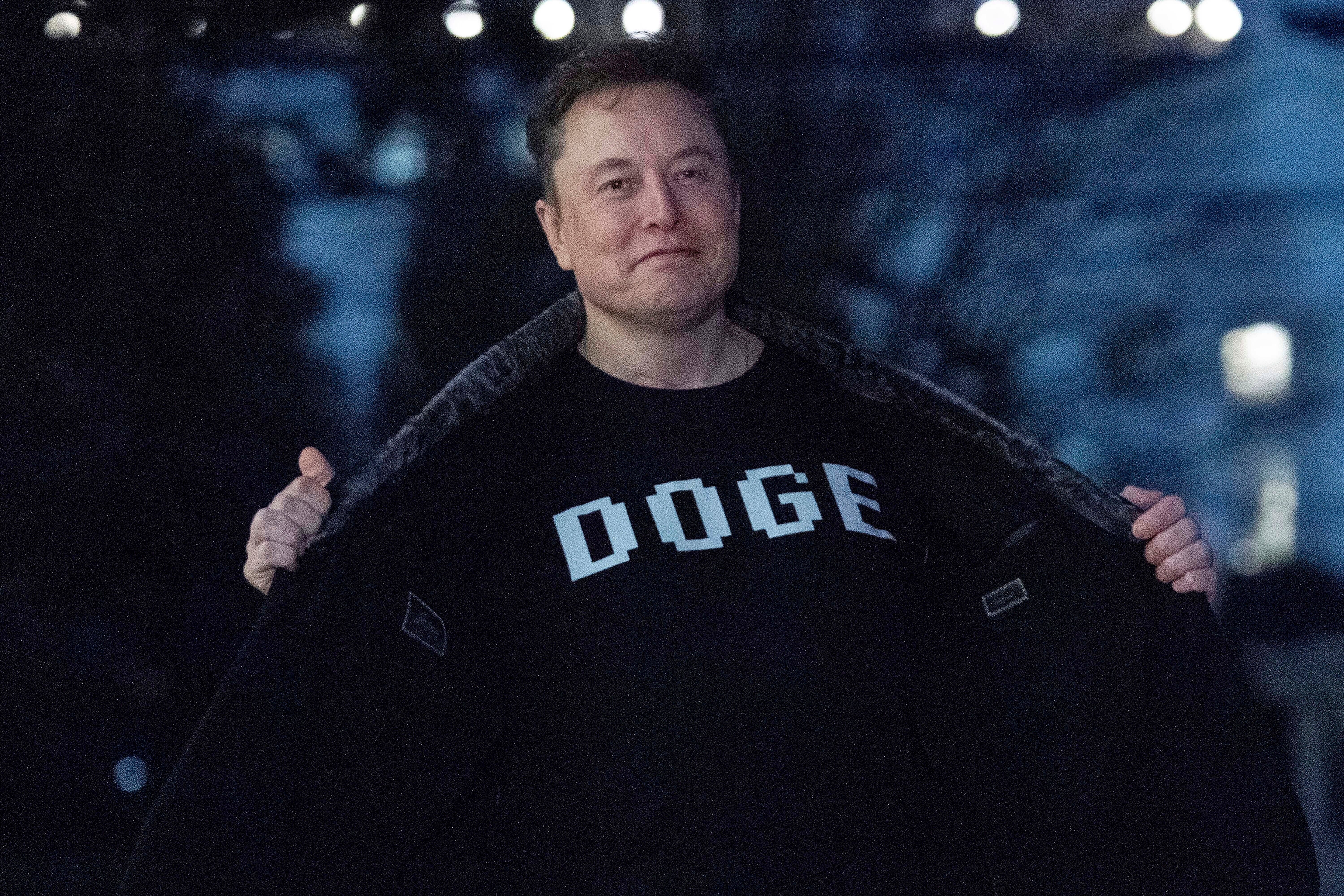 Musk intended to cut government spending as well as ‘waste, fraud, and abuse’ by deploying DOGE teams